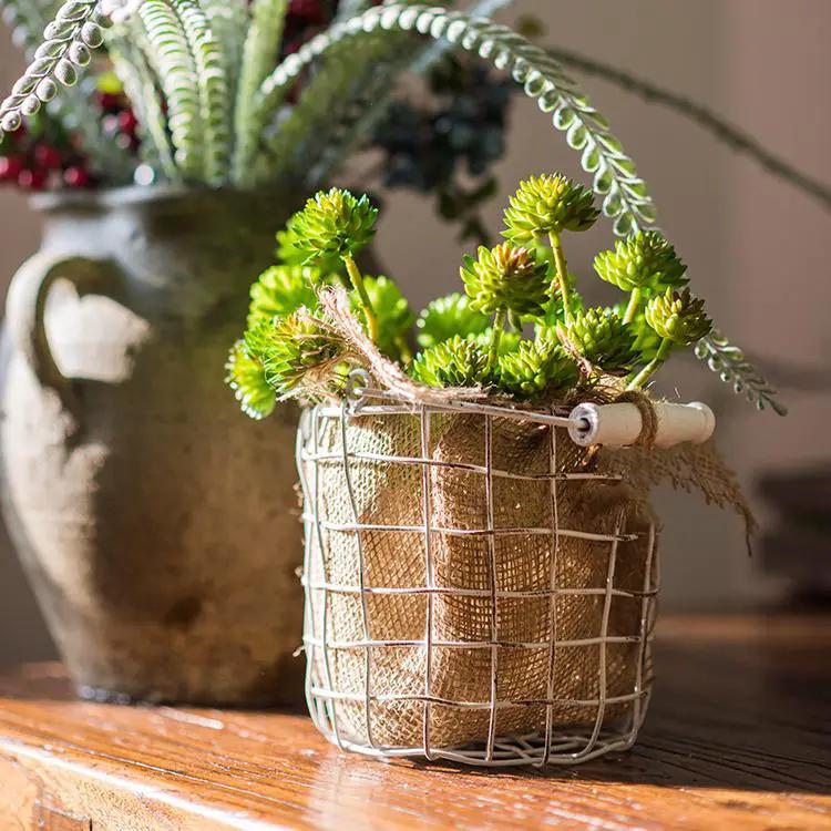 Artificial Plant Faux Succulent Stem Set in Green 13" Tall by RusticReach