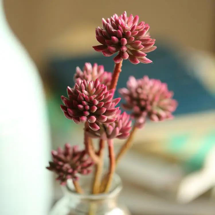 Artificial Plant Faux Succulent Stem Set in Red 13" Tall by RusticReach