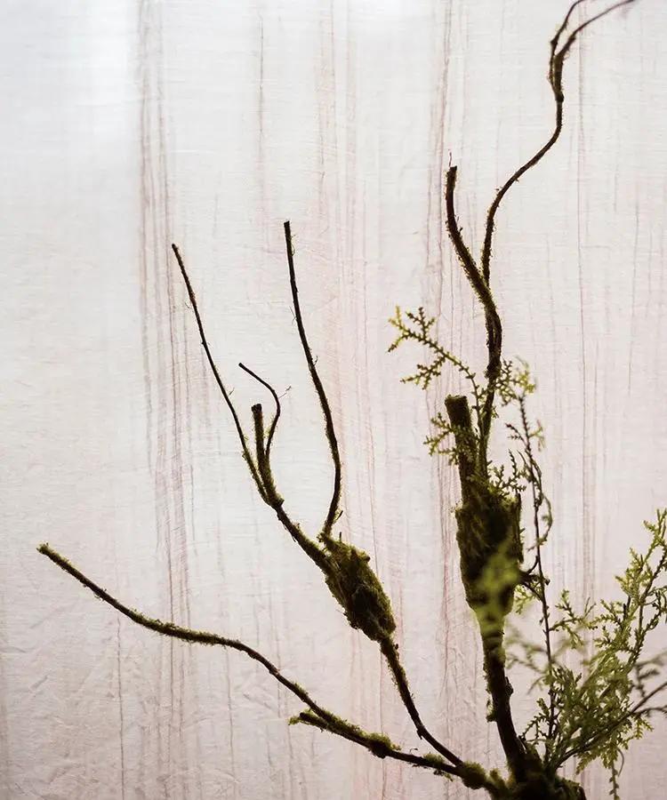 Artificial Plant Moss Rattan Stem 30" Tall by RusticReach