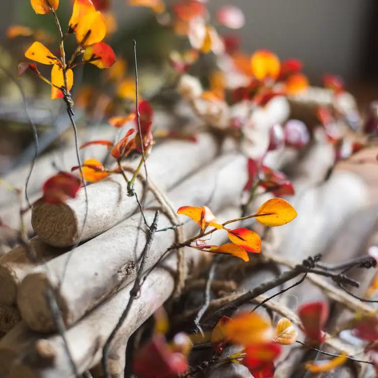 Artificial Plant Red Vine Leaf Stem Faux by RusticReach