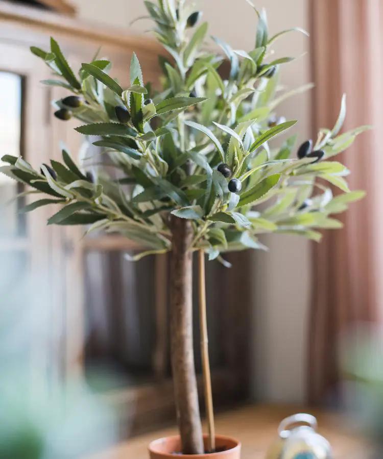 Artificial Small Olive Tree 24" Tall Faux by RusticReach