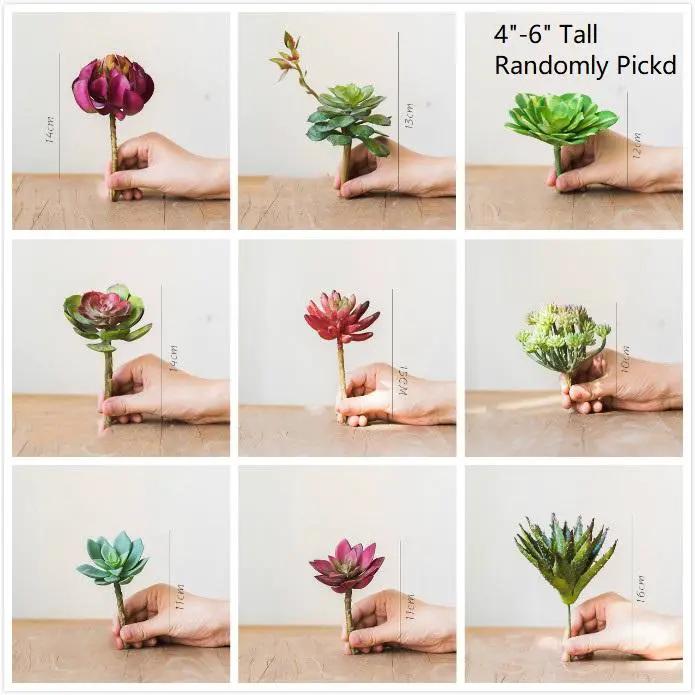 Artificial Faux Small Succulent Stem Randomly Picked Set of 5 by RusticReach