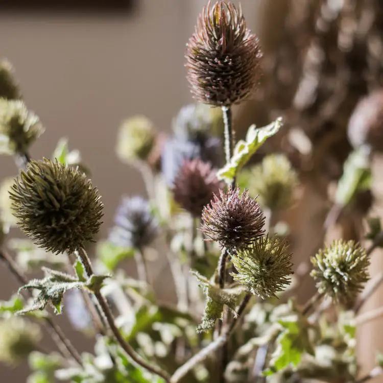 Faux Silk Artificial Thistle Flower Stem 26" Tall by RusticReach