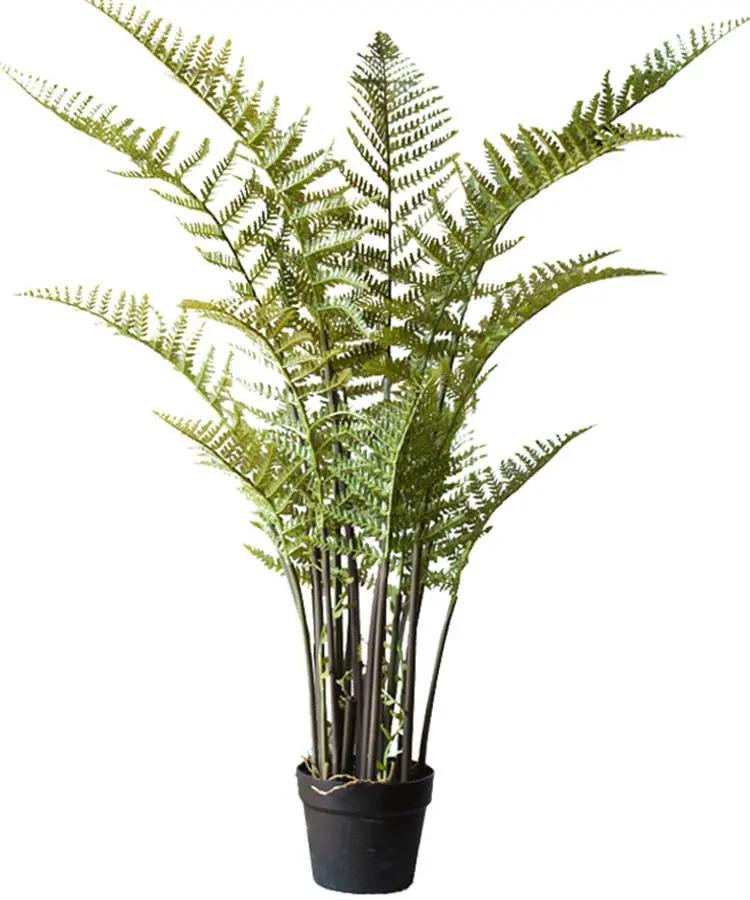 Artificial Faux Cyathea Tree In Pot by RusticReach