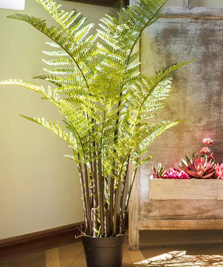 Artificial Faux Cyathea Tree In Pot by RusticReach