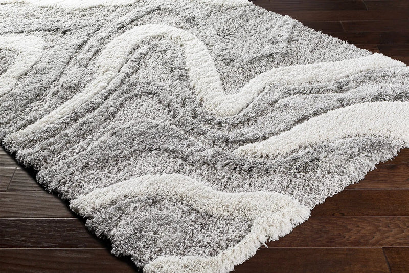 Asfordby Gray Canyon Plush Rug by Boutique Rugs