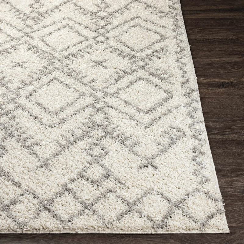 Atascadero Area Carpet - Clearance by Boutique Rugs