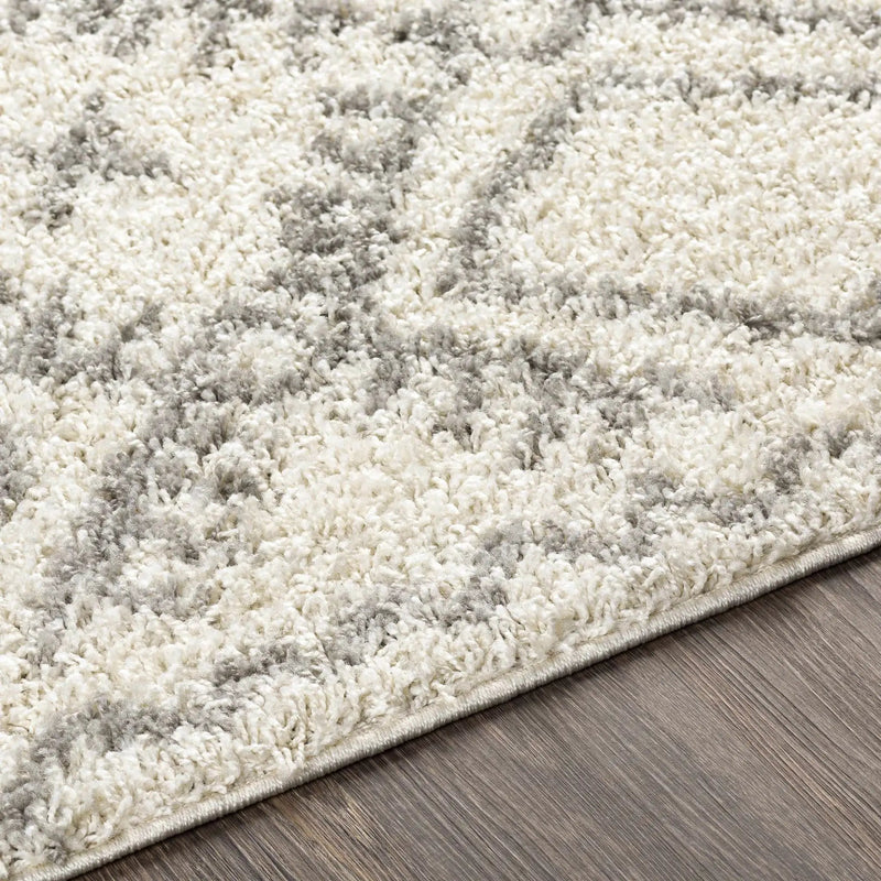 Atascadero Area Carpet - Clearance by Boutique Rugs