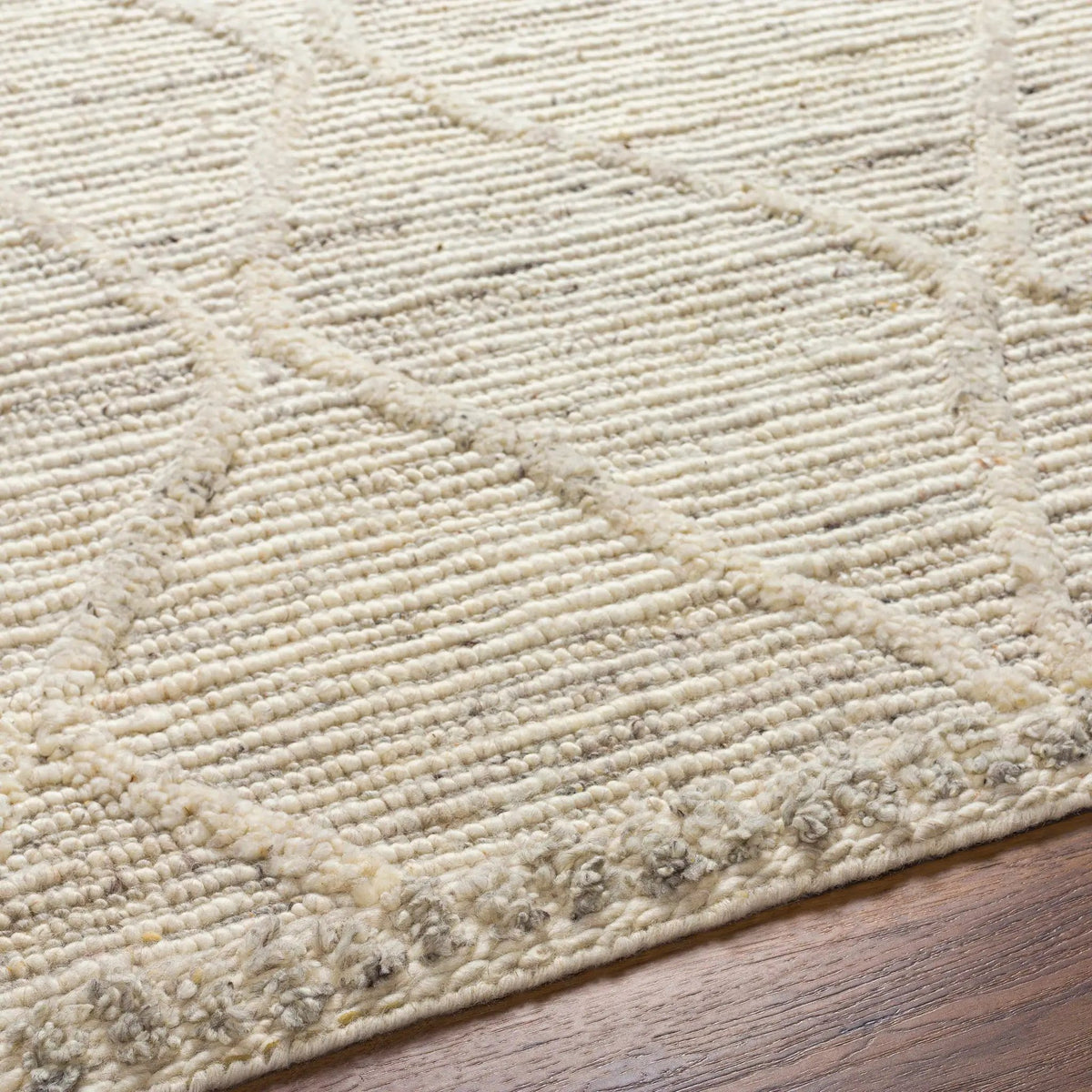 Aysu @Area Rug - Clearance, photo 7 of 12