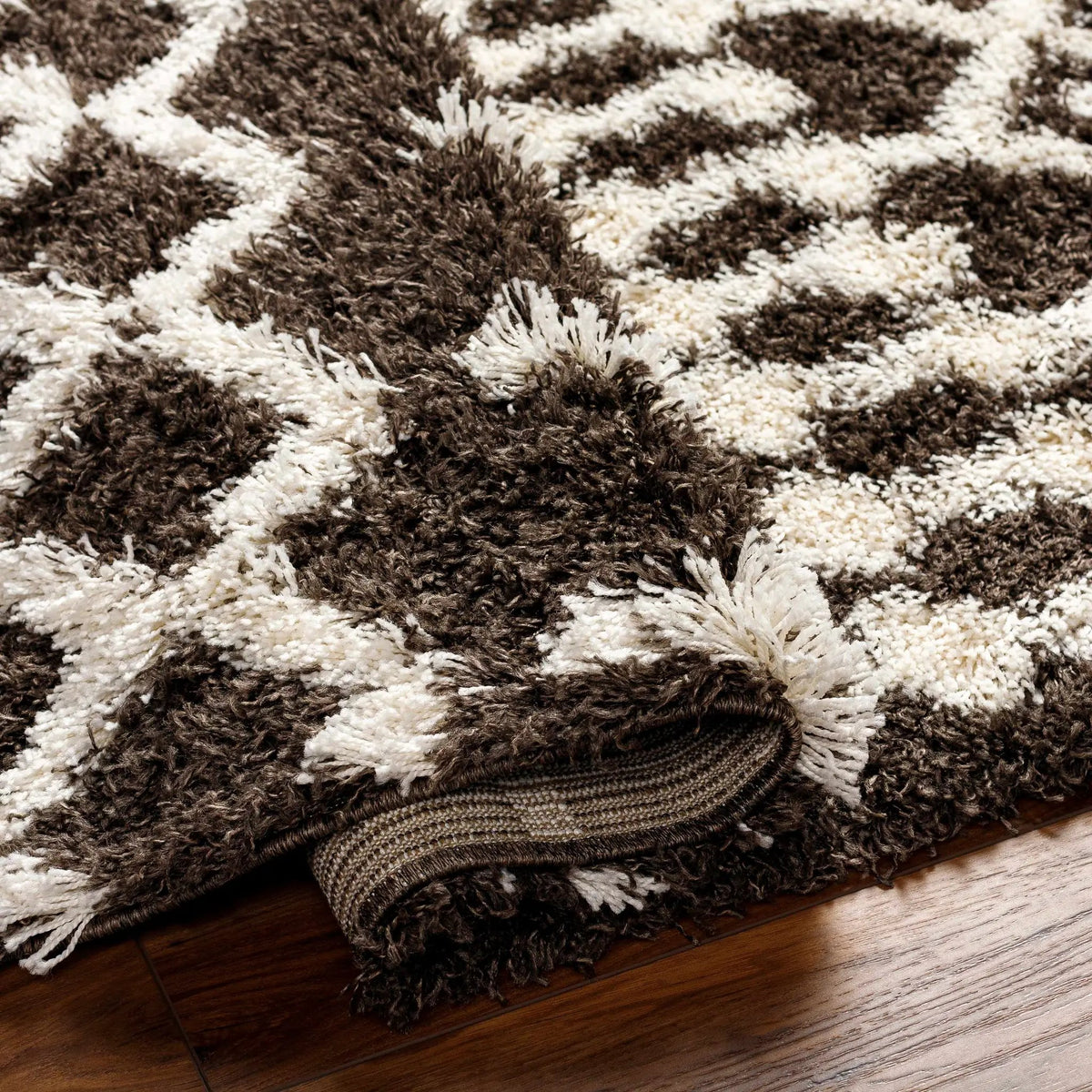 Aysel Shag Area Rug, photo 5 of 8
