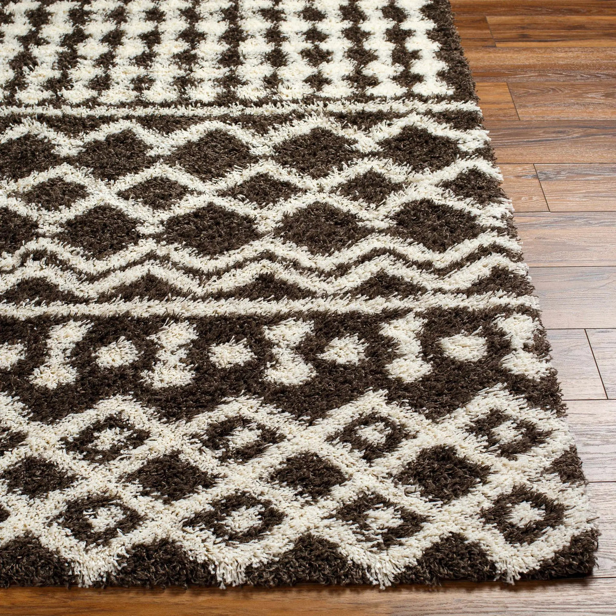 Aysel Shag Area Rug, photo 4 of 8
