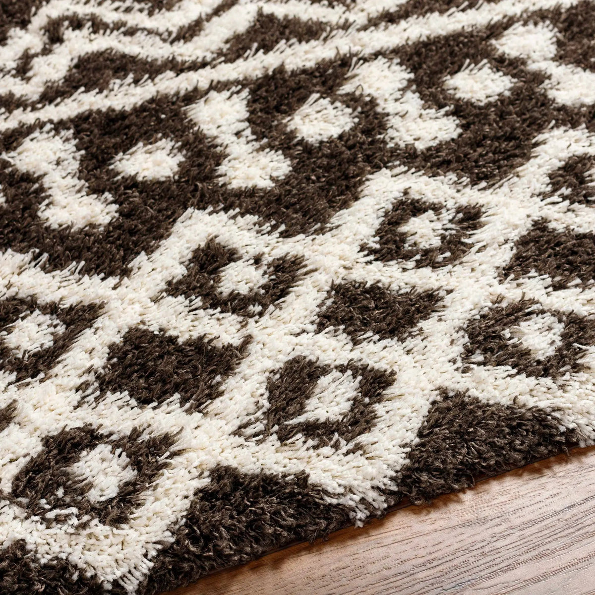 Aysel Shag Area Rug, photo 7 of 8