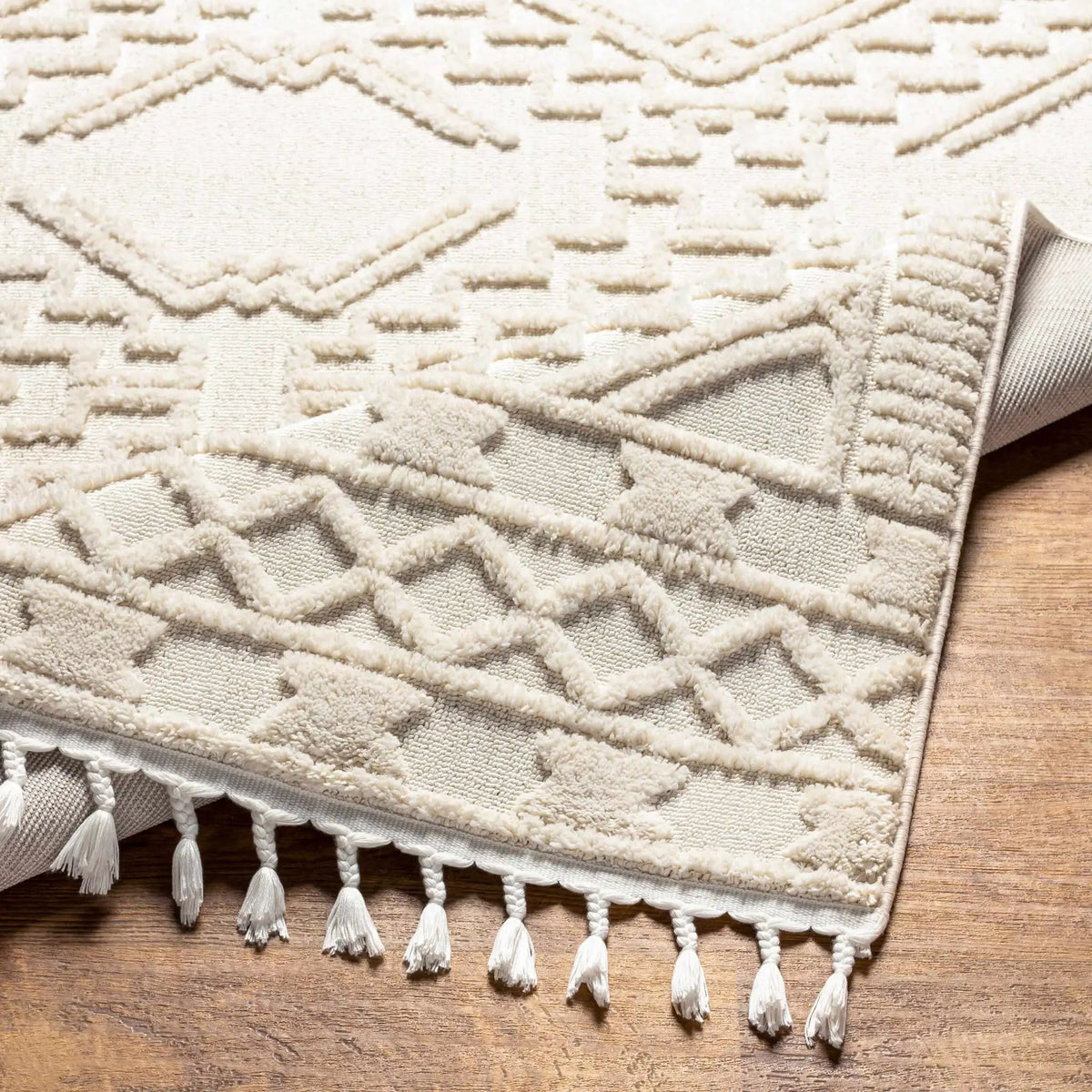 Kalkan High/Low Pile Rug with Tassels - Clearance, photo 17 of 17