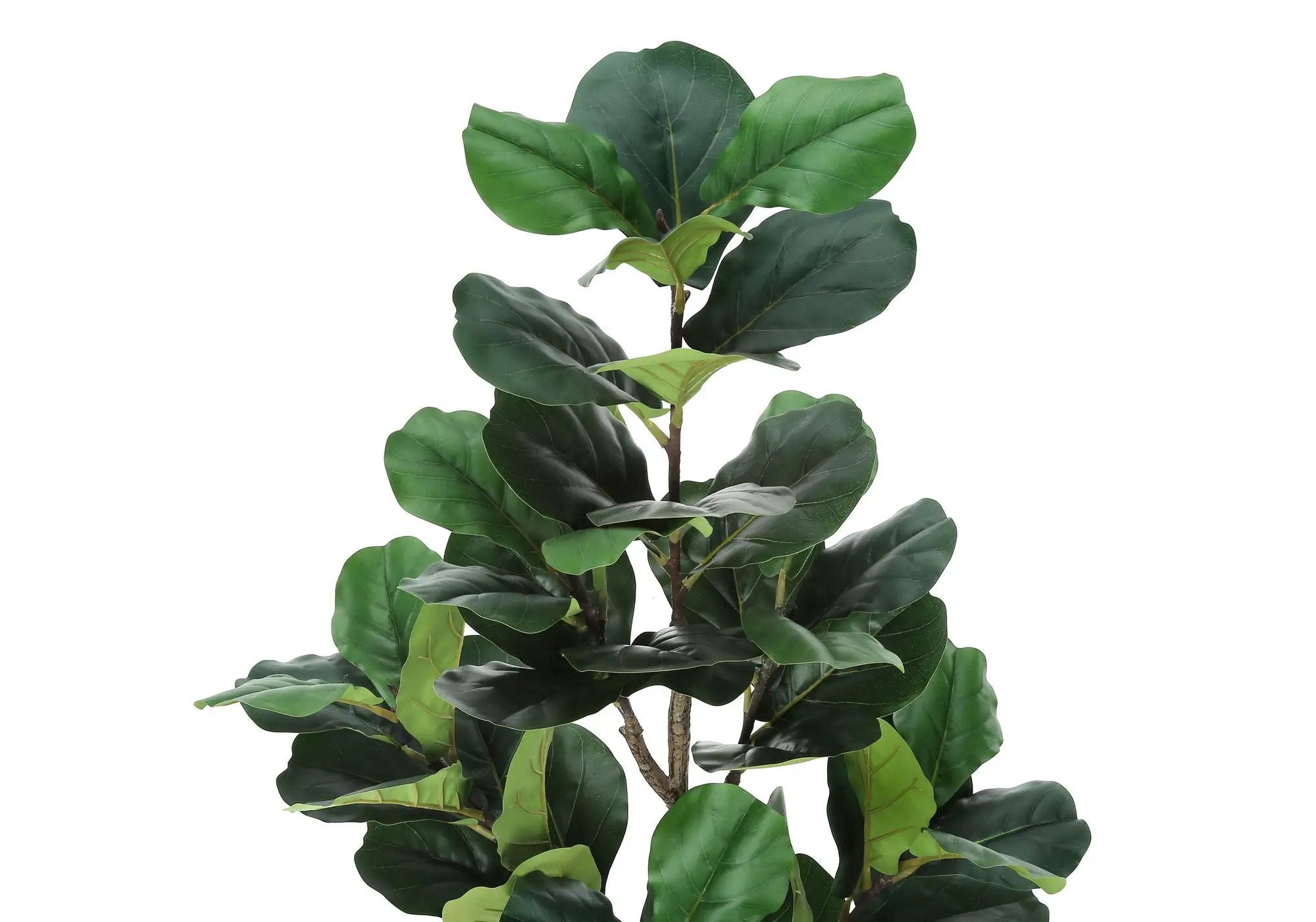 49" Tall, Artificial Plant, Fiddle Tree, Indoor, Faux, Fake, Floor, Greenery, Potted, Real Touch, Decorative - Green / Black by Unique Piece Furniture