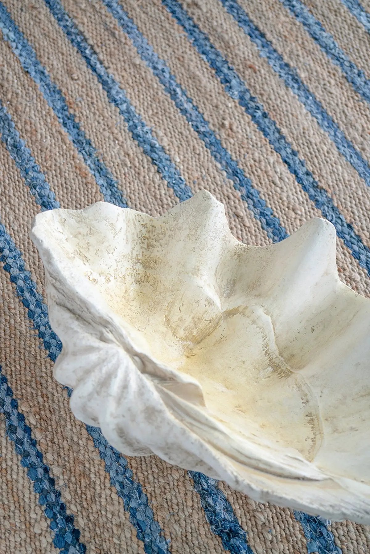 Large Clam Shell Accent 25.3x16.5x8.5" by HouseOfZazla
