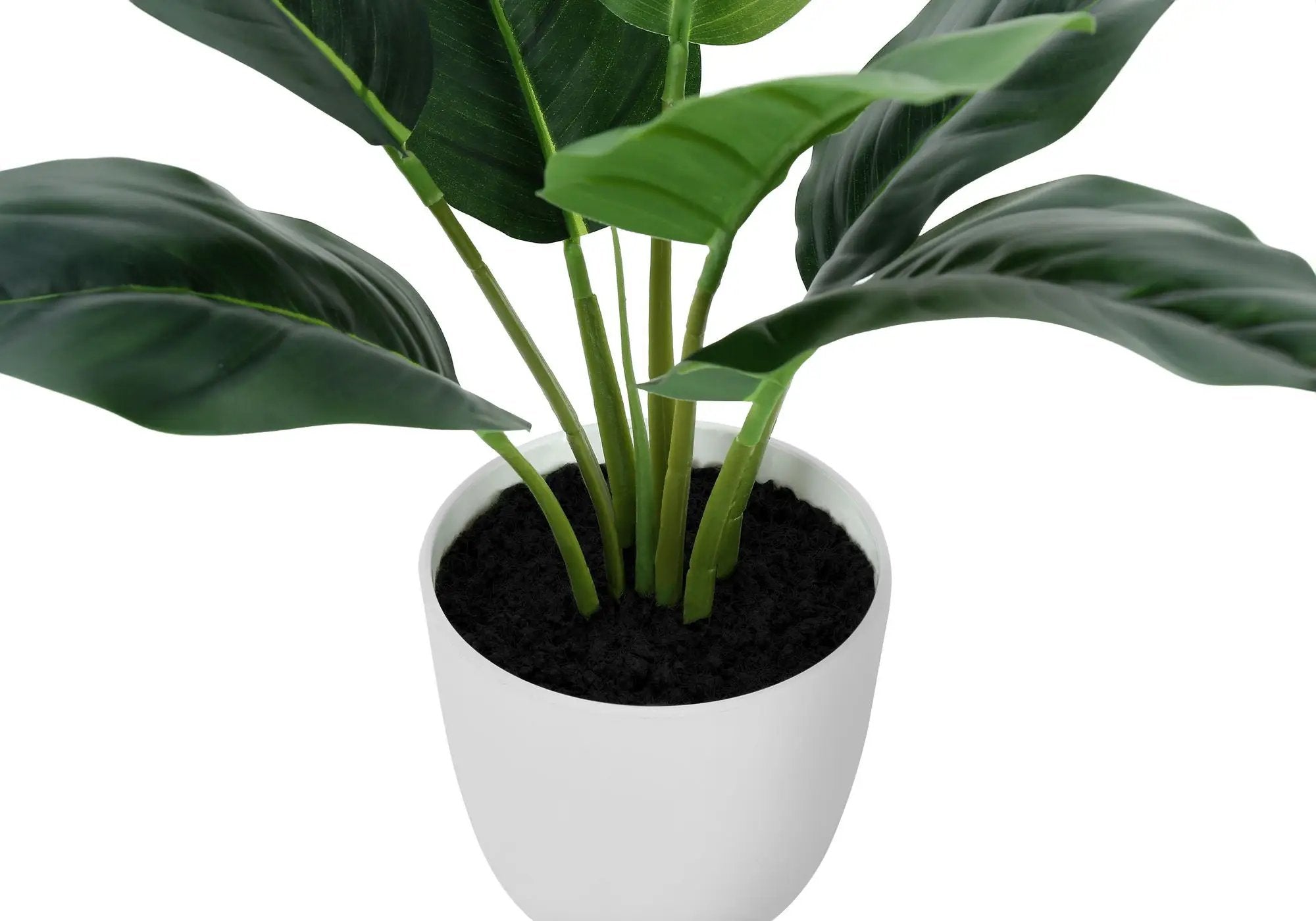 17" Tall Aureum Artificial Indoor Plant in White Pot by HouseOfZazla