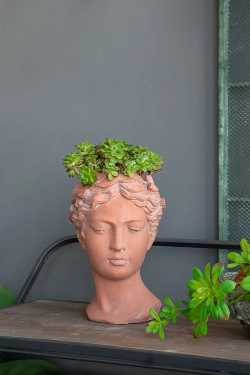 D7X11" Visage Head Bust Planter - Brown by HouseOfZazla