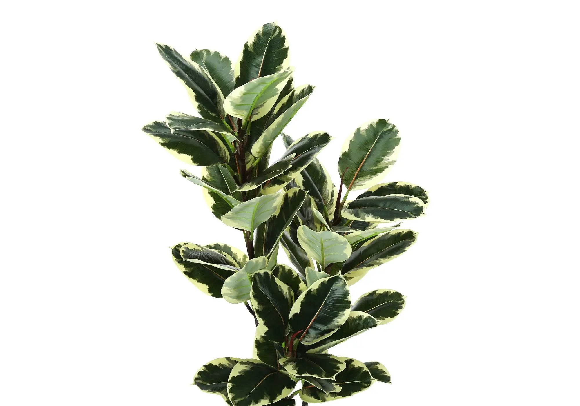 47" Tall, Artificial Plant, Oak Tree, Indoor, Faux, Fake, Floor, Greenery, Potted, Real Touch, Decorative - Green / Black by Unique Piece Furniture