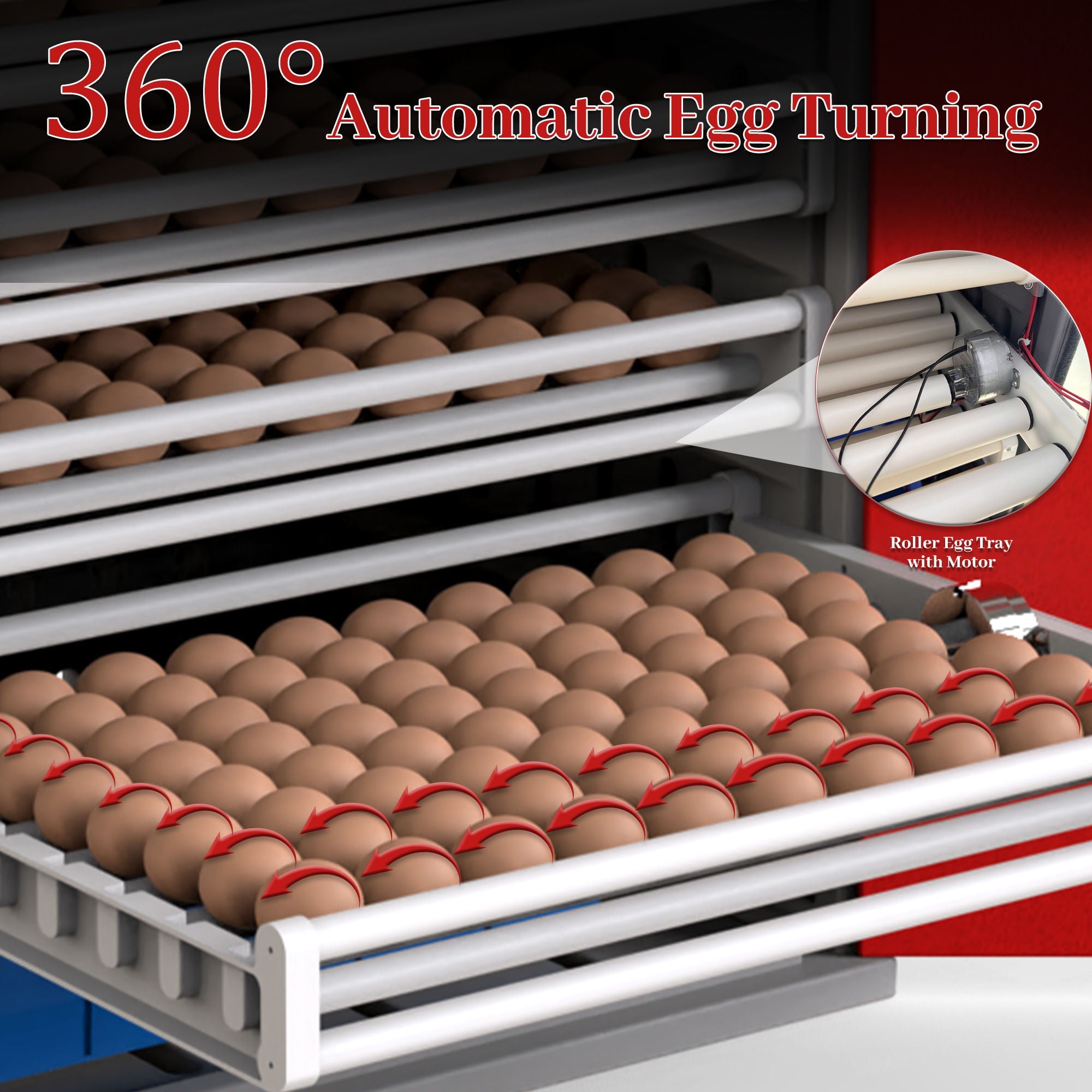 Commercial Egg Digital Cabinet Incubator With Auto Temperature & Humidity Control by HouseOfZazla