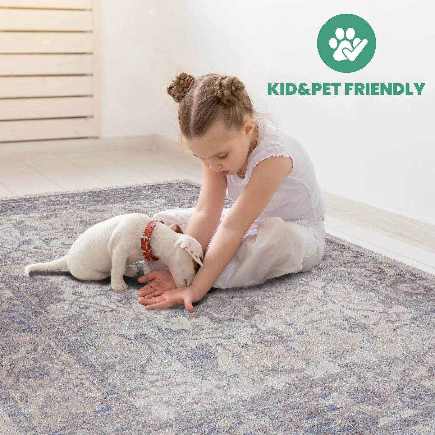 Payas - Trendy Traditional Area Rug by HouseOfZazla