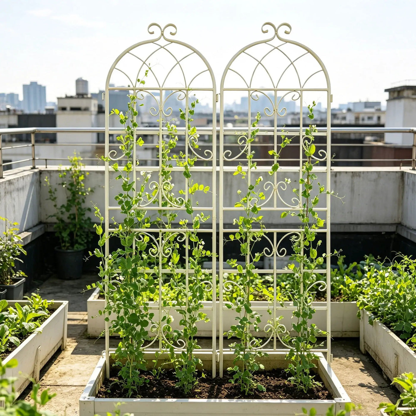 Metal Garden Rustproof Trellis For Climbing Plants Outdoor Flower Support by Unique Piece Furniture
