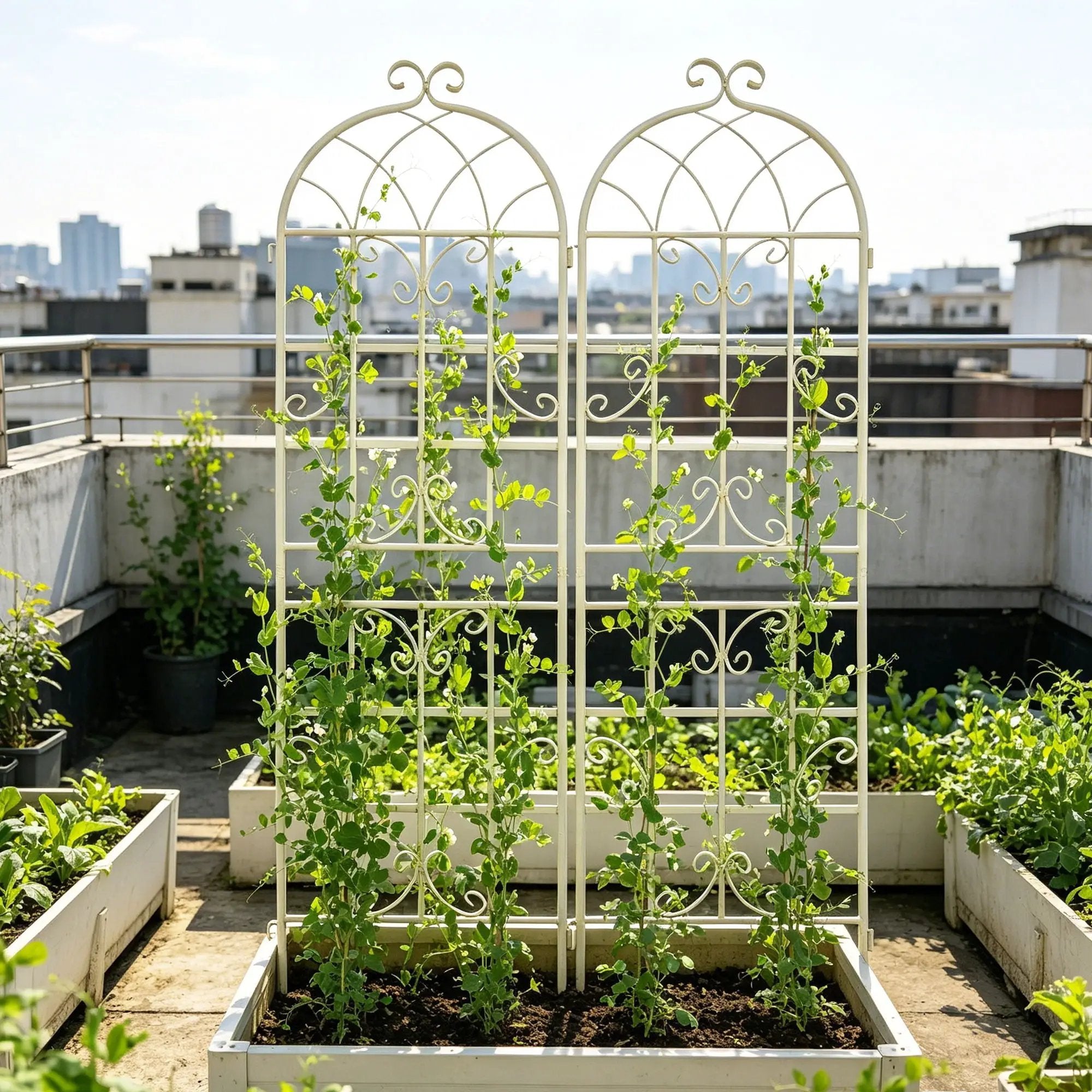 Metal Garden Rustproof Trellis For Climbing Plants Outdoor Flower Support by Unique Piece Furniture