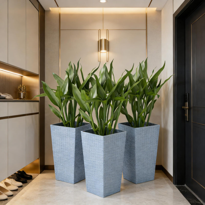 Plants Box Set of 3 Tall Planters by HouseOfZazla