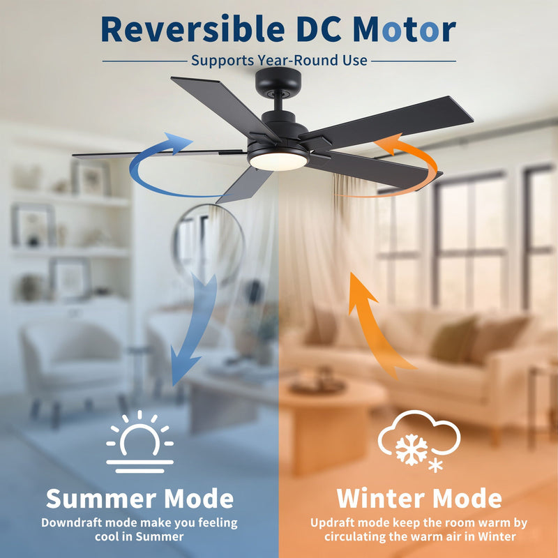 Reversible Motor Integrated LED Dimmable Ceiling Fan With Light by HouseOfZazla