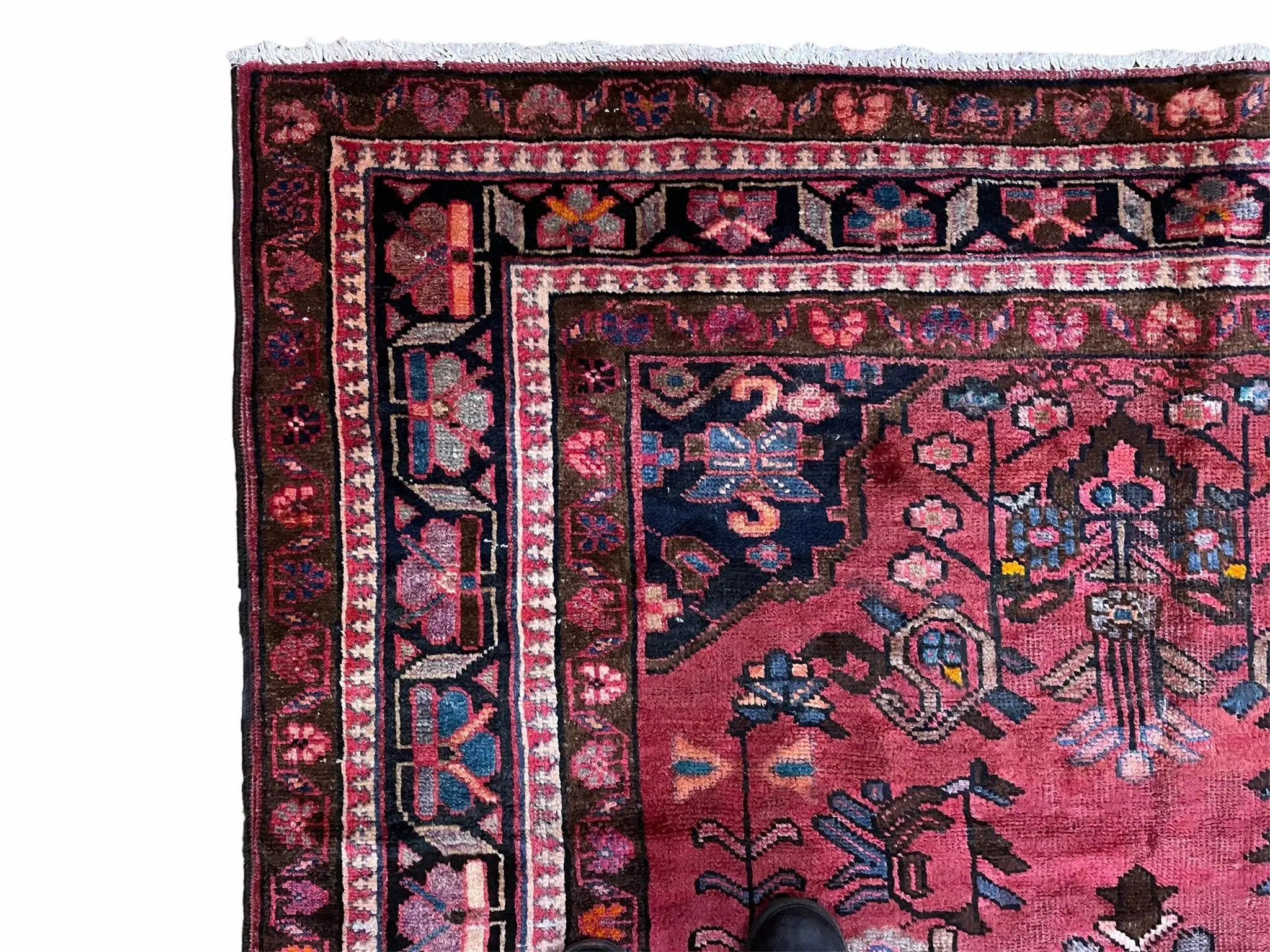 5.5 X 10 Handmade Wool Tribal Gallery Rug Wide Runner Corridor Rug Floral Red by Jewel Rugs