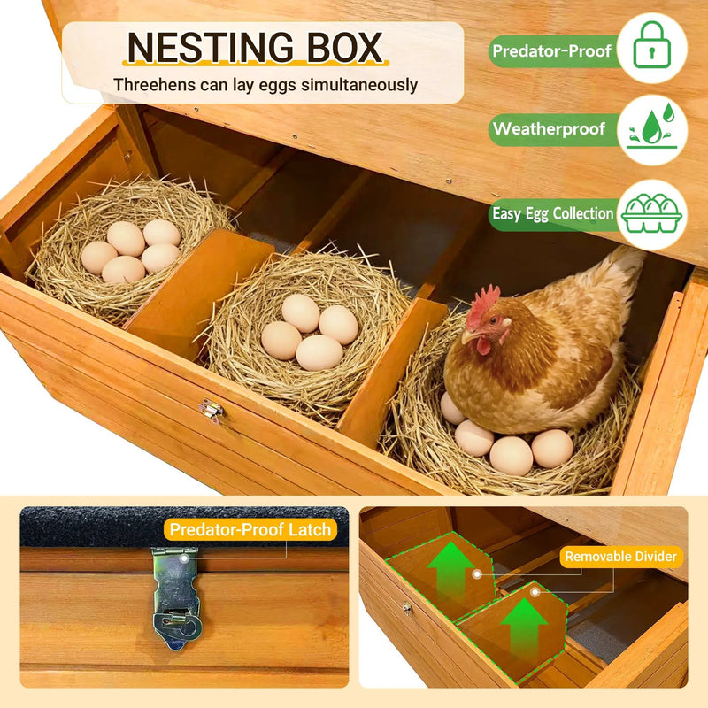 Double-House Wooden Chicken Coop for 6-8 Chickens by HouseOfZazla