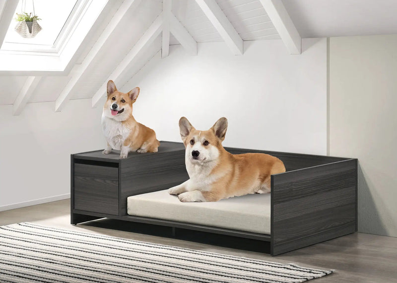 Esme - Wide Comfy Pet Bed With Cushion And Side Storage Compartment - Ash Gray by HouseOfZazla