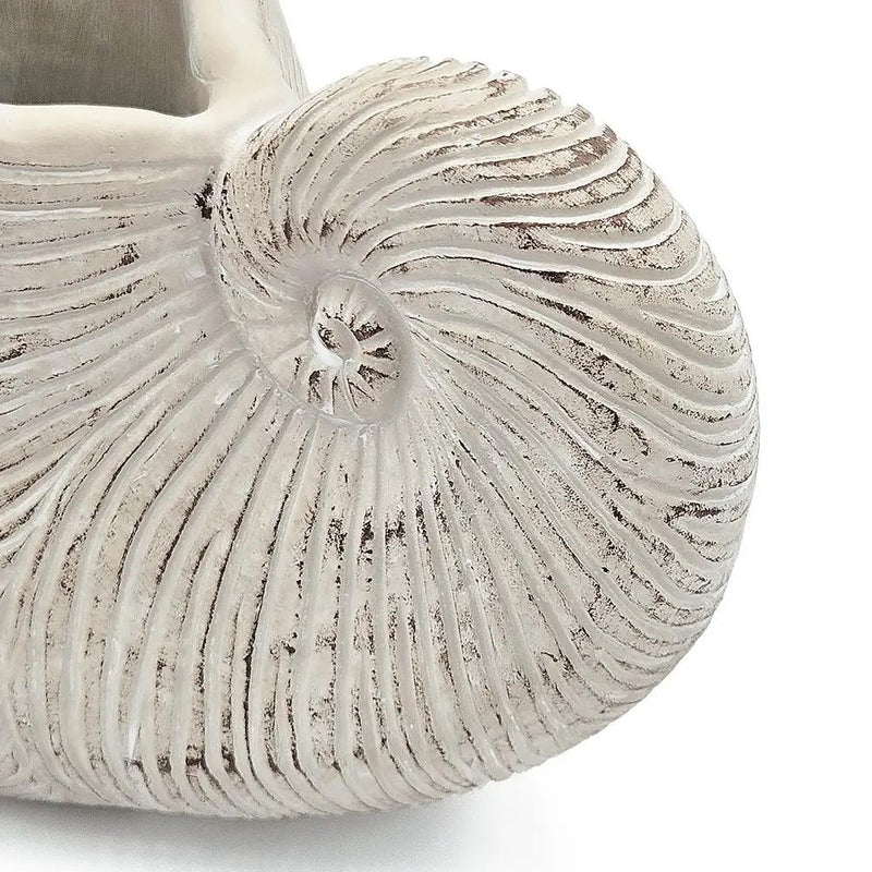 11.5x6.7x7.7" Sand and Cement Nautilus Shell Planter with Textured Beige Finish by HouseOfZazla