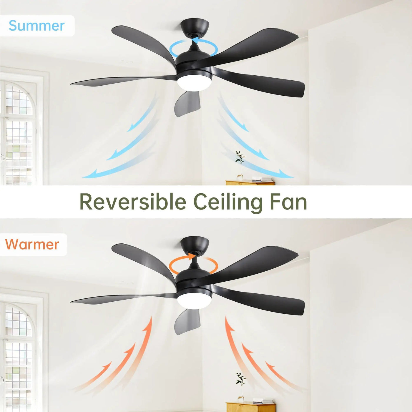 Ceiling Fan & DC Motor And Integrated Light by Unique Piece Furniture