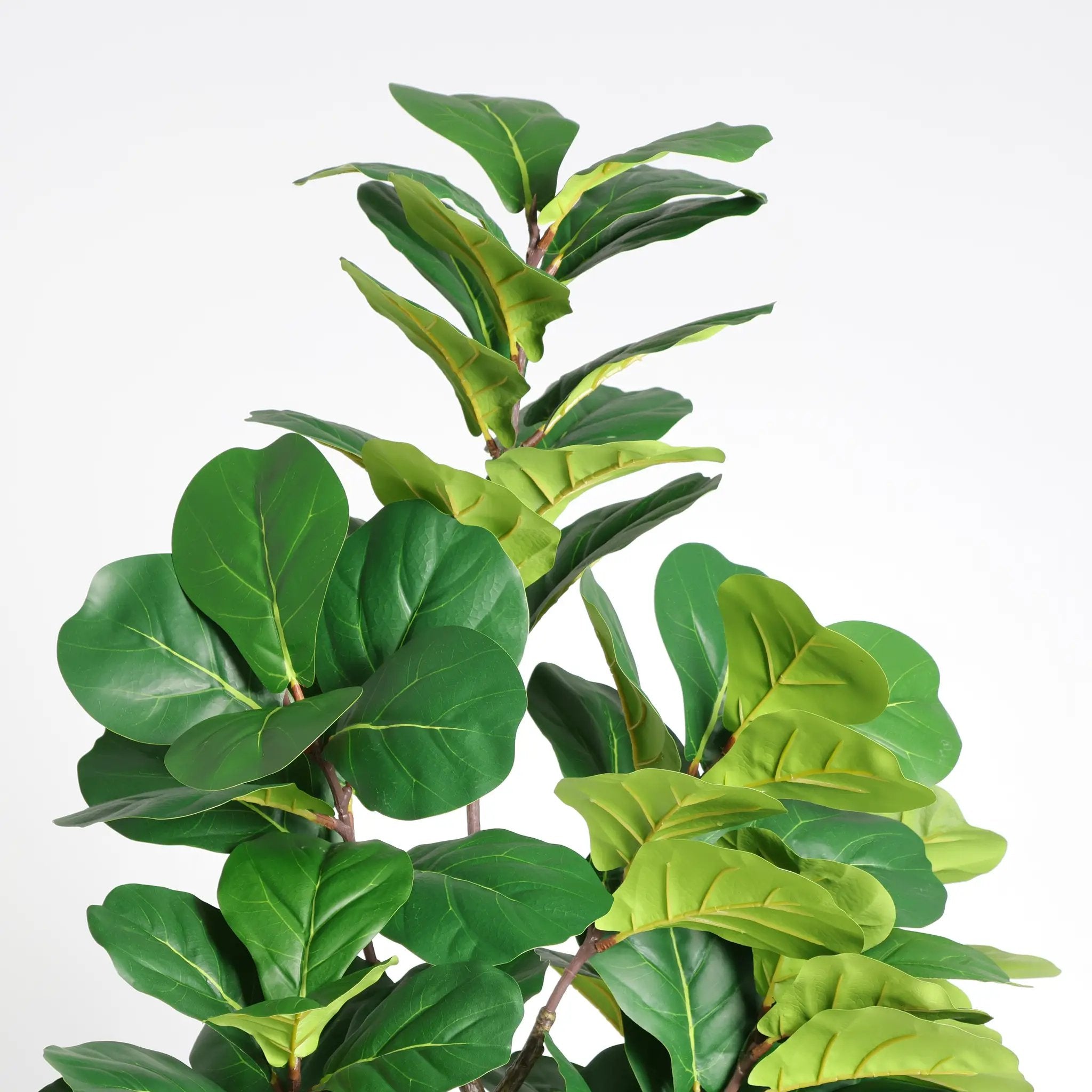 6FT Artificial Fiddle Leaf Fig Tree With Decorative Pot by HouseOfZazla