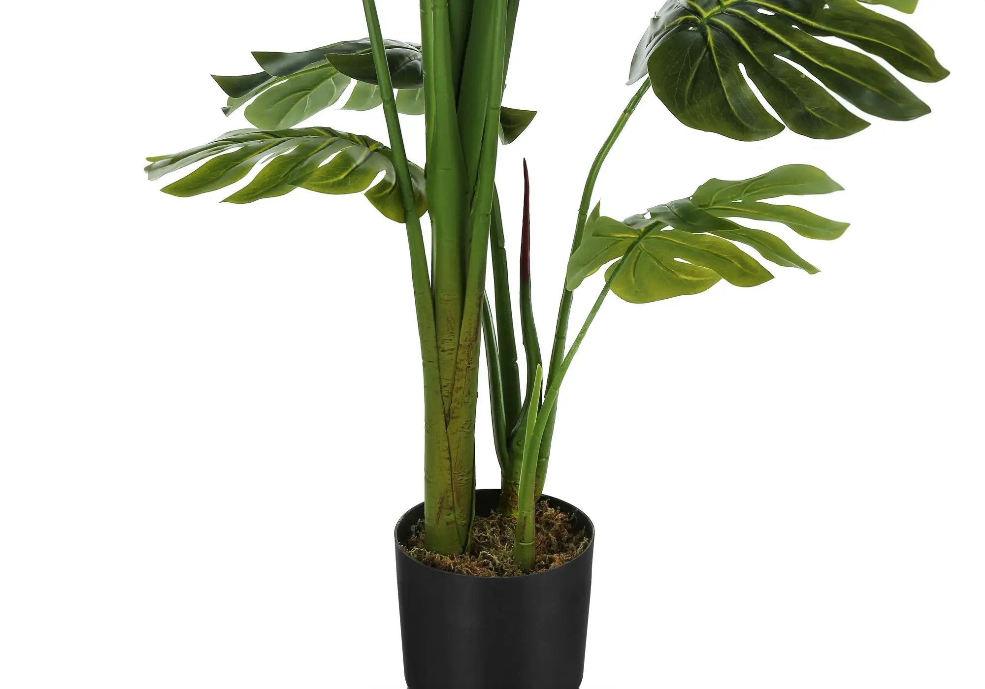 55" Tall Artificial Monstera Tree by HouseOfZazla