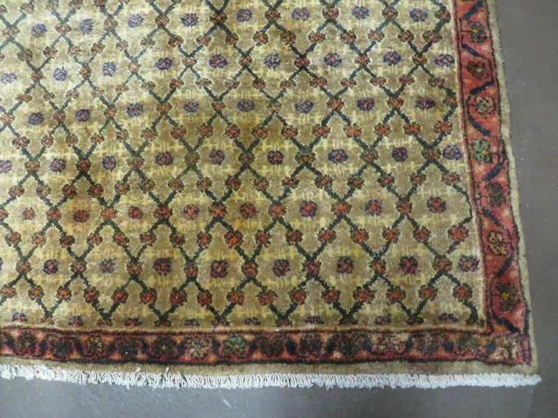 4' X 6' Handmade Indian Allover Wool Rug Camel Hair Color #119 by Jewel Rugs