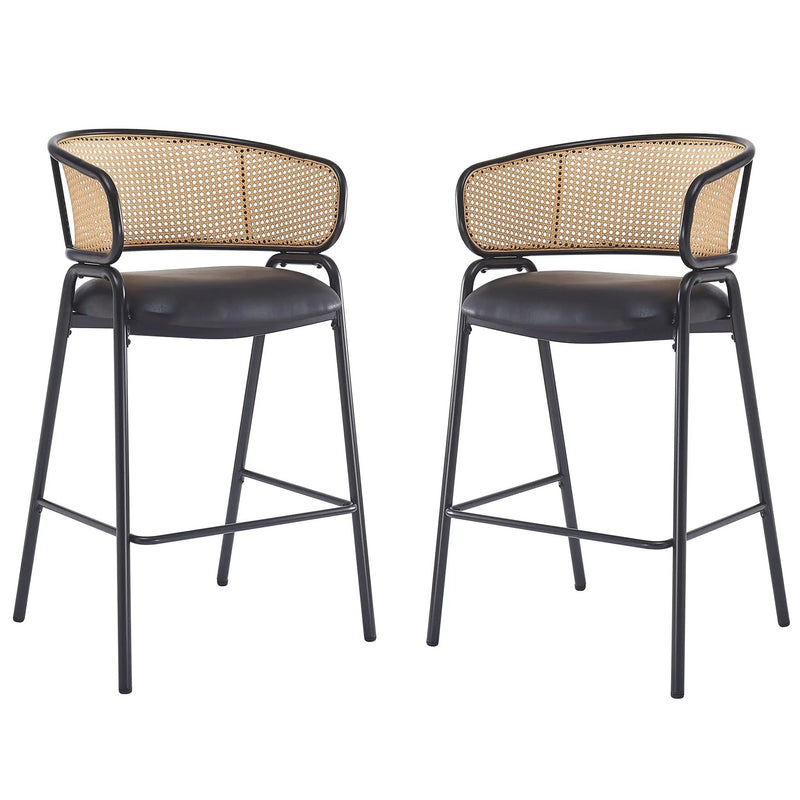 Ethan Indoor Metal Upholstered Barstool Set of 2 by HouseOfZazla
