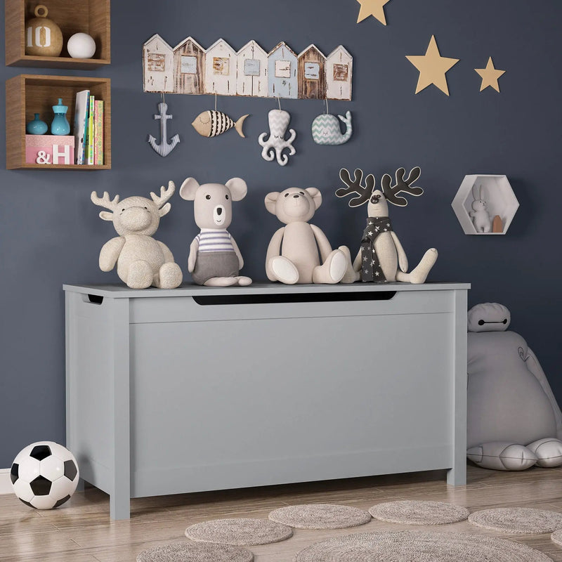 Toy Box Storage With Safety Hinged Lid by HouseOfZazla