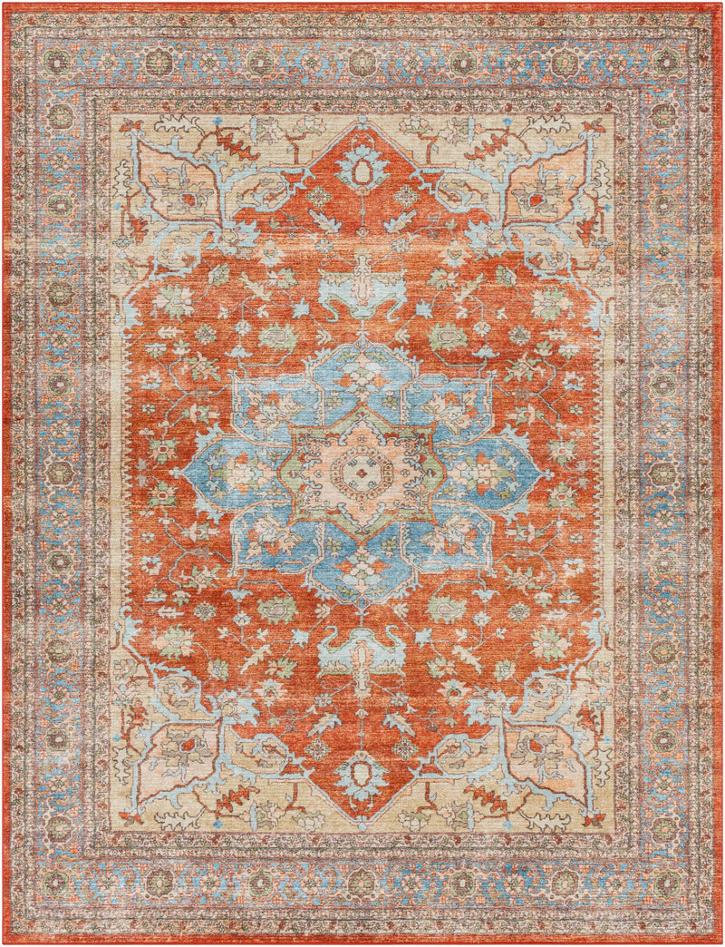 Bacoor Washable Area Rug - Clearance by Boutique Rugs