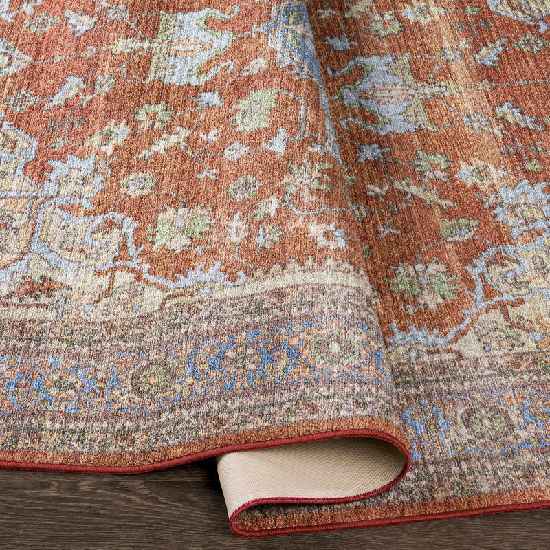Bacoor Washable Area Rug - Clearance by Boutique Rugs