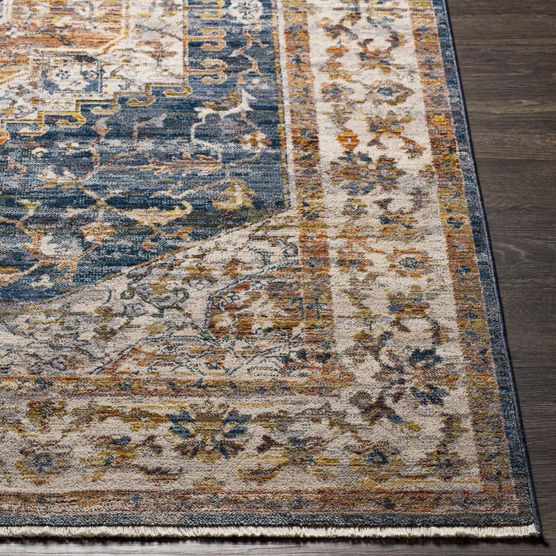 Solana Distressed Medallion Area Carpet - Clearance by Boutique Rugs