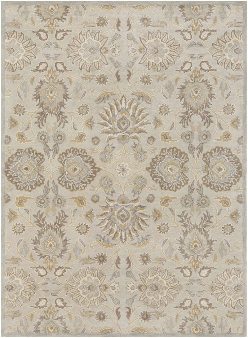 Conesus 1192 Hand Tufted Ivory&Taupe Wool Rug by Boutique Rugs