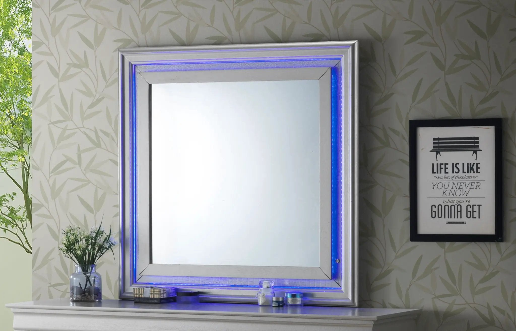 Lorana - Elegant Transitional LED Mirror by HouseOfZazla