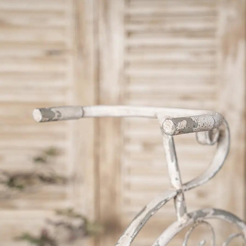Rustic Bicycle Metal Wire Wall Planter Basket by HouseOfZazla
