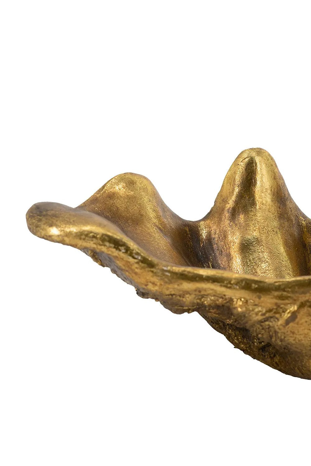 19.7x10.6x5.5" Decorative Shell Bowl by HouseOfZazla