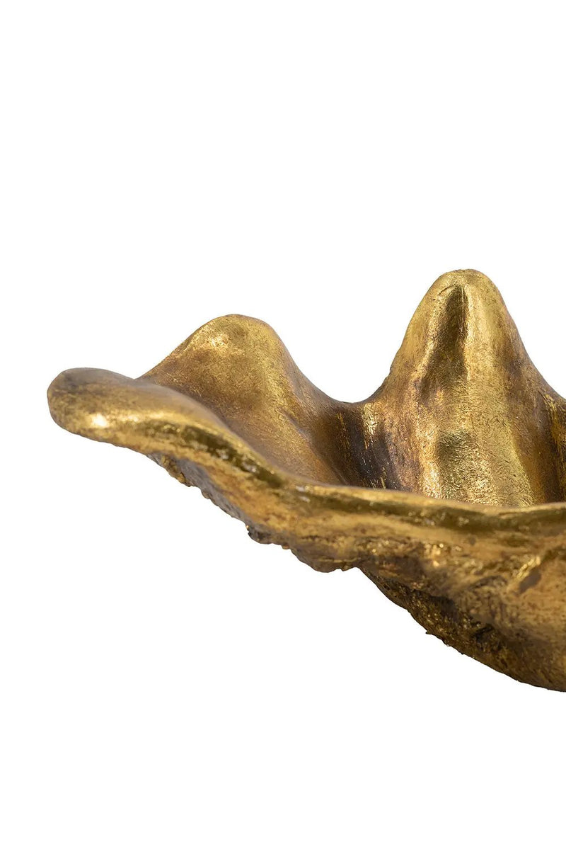 19.7x10.6x5.5" Decorative Shell Bowl by HouseOfZazla