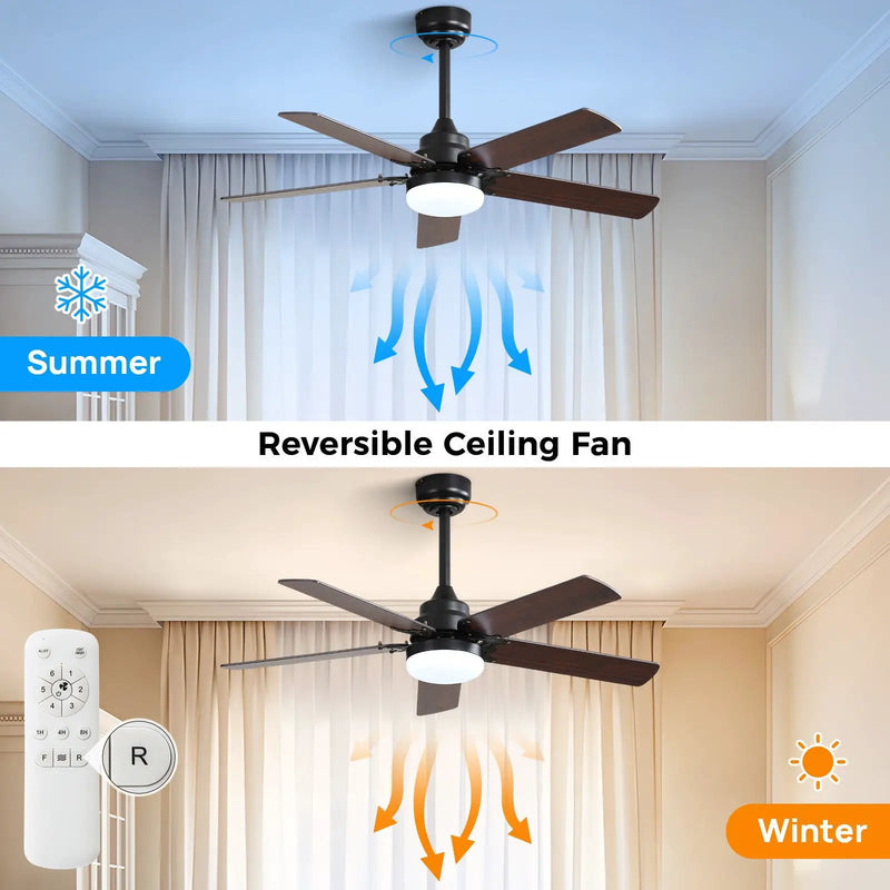 Modern Ceiling Fan With 3 Color Dimmable Light 5 Blades Remote Control Reversible Dc Motor For Bedroom - Black by HouseOfZazla