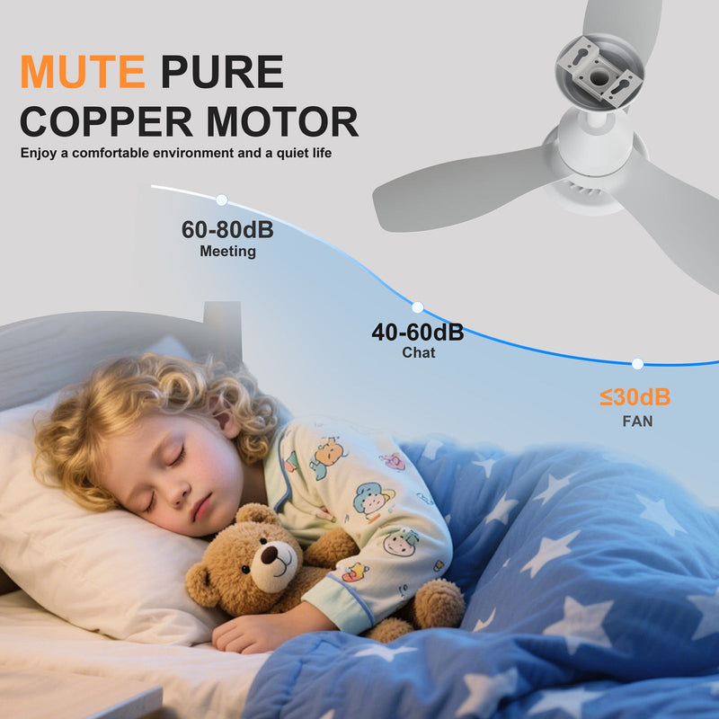 24.4" Modern Ceiling Fan with Light by HouseOfZazla