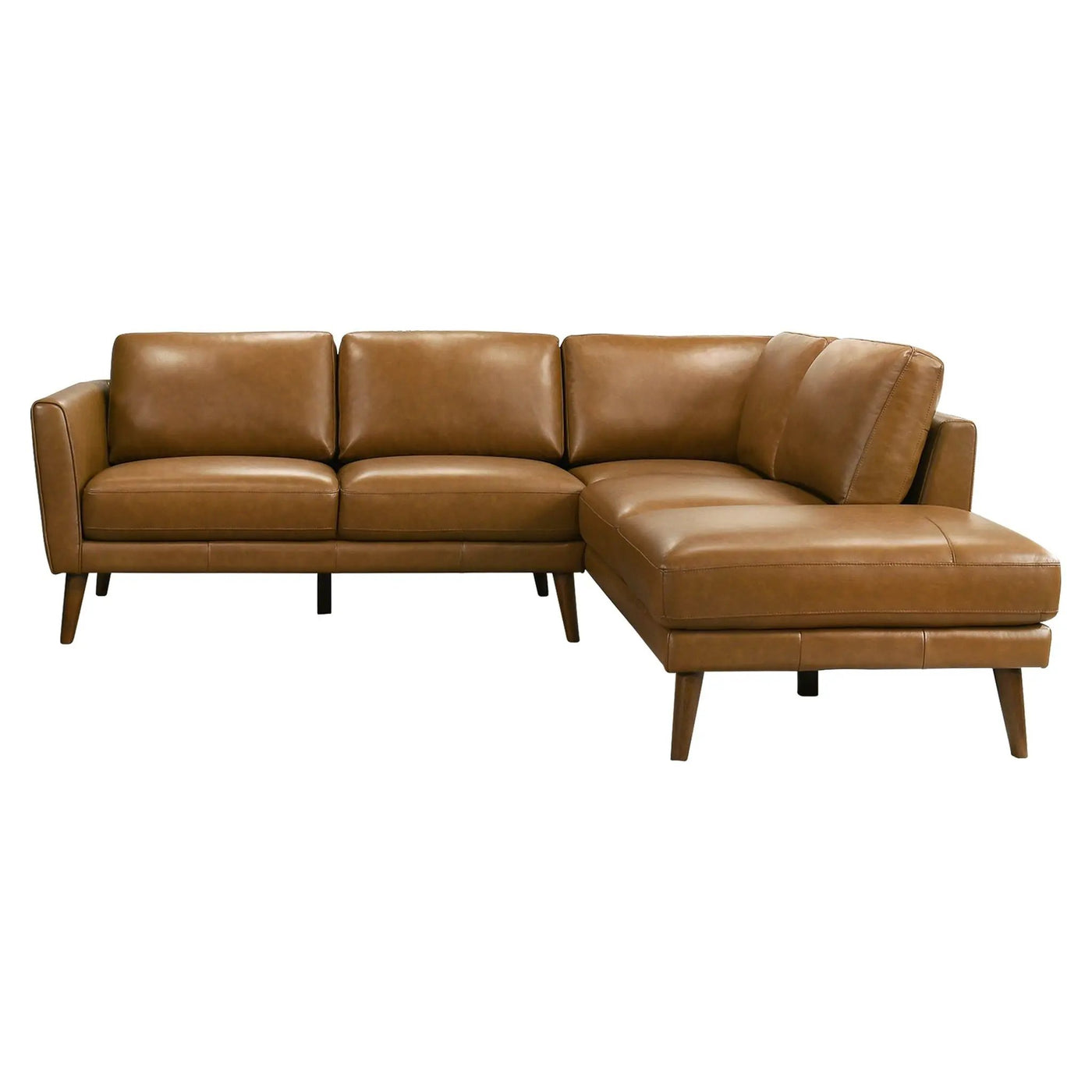 Benson - Sectional Sofa With Chaise by HouseOfZazla