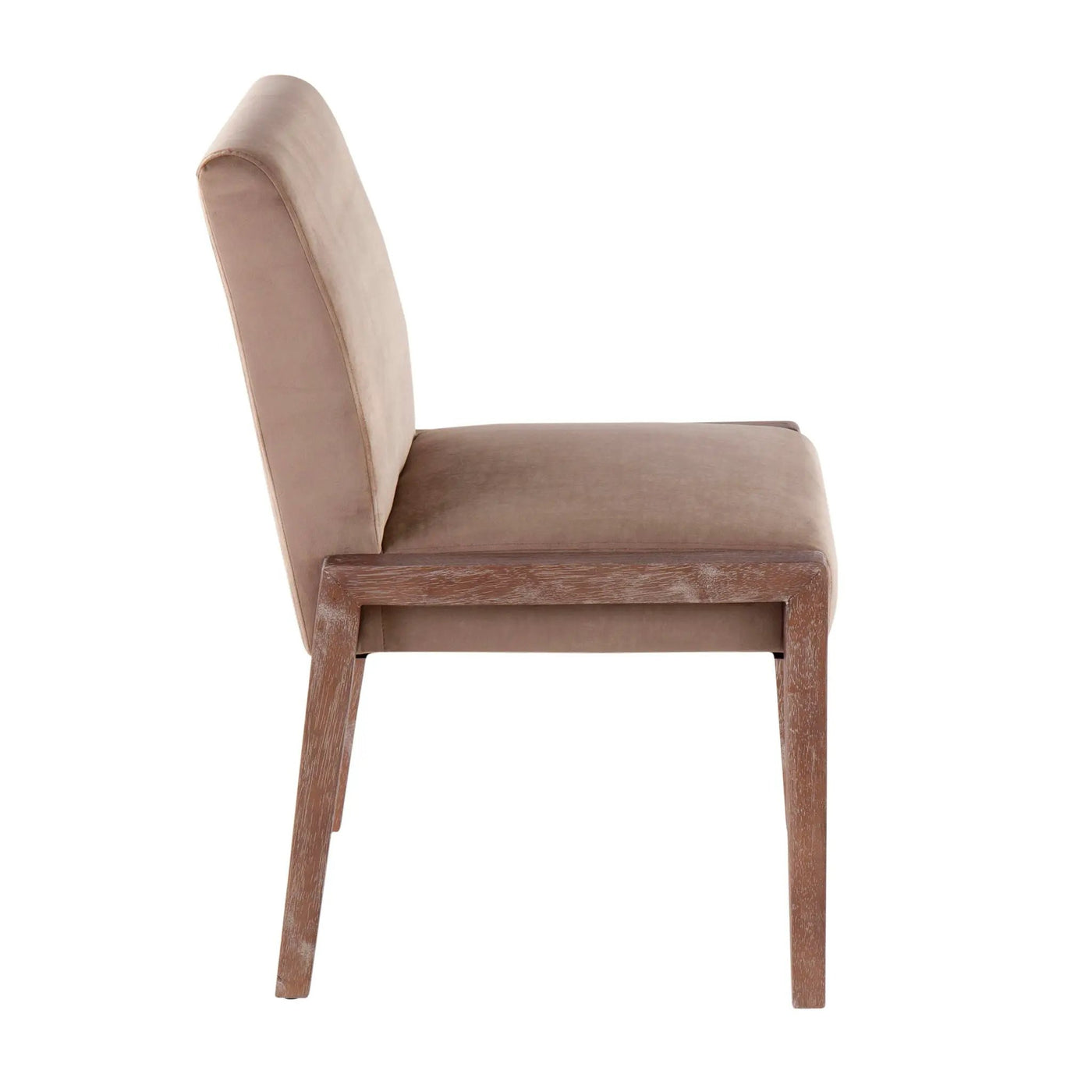 Carmen - Contemporary Chair (Set of 2) by HouseOfZazla